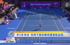  科维托娃宣布怀孕喜讯 