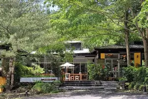 奥兰多魔术强势反弹备战意大利杯纽约尼克斯遗憾出局备战法国杯，连对手都承认：赛后阿森纳造点机会的简单介绍